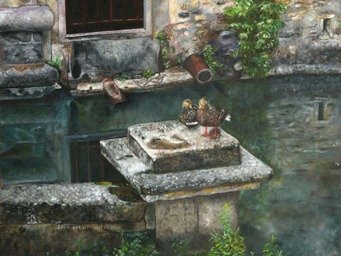 A ducks collection