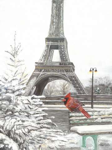 A cardinal in paris