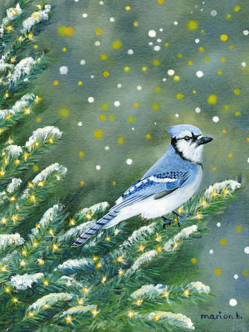 Snowy blue jay