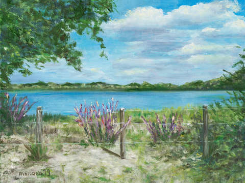 Walking along the lake
