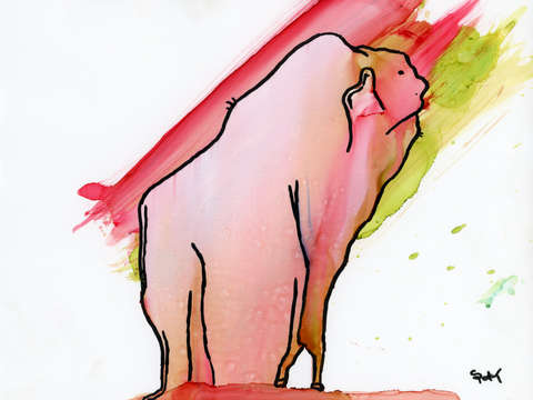 Mammoth