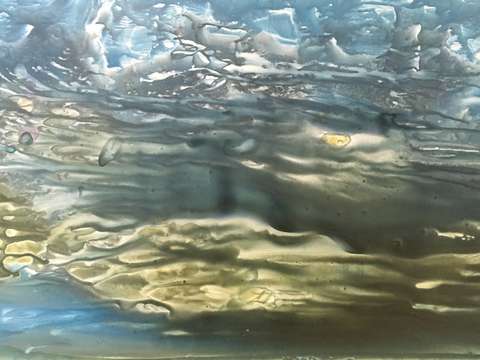 Sea gold