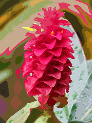 Island flower 2