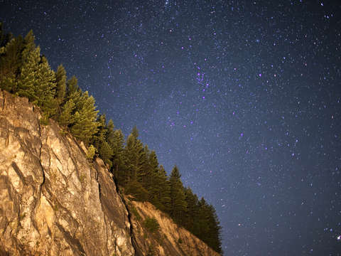 Oregon stars
