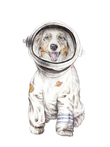 Laika the aussie space pup