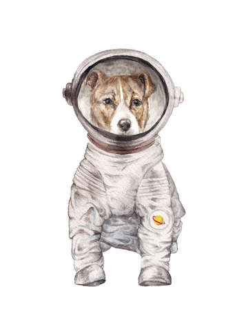 Laika the terrier space pup