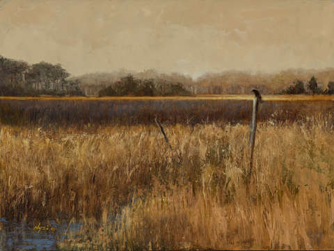 On golden marsh