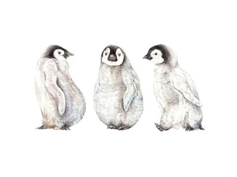 Playful watercolor penguins
