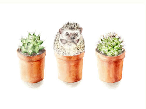 One of these things is not like the other