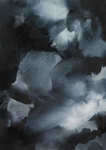 Hellebore 01