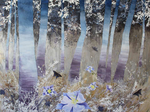 The quiet forest 4