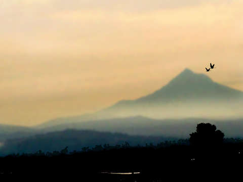 Early morning along the columbia