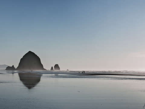 Blue haystack