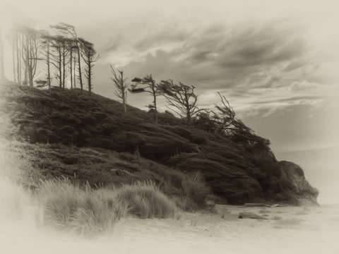 Windswept