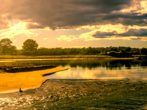 Where the river meets the sea