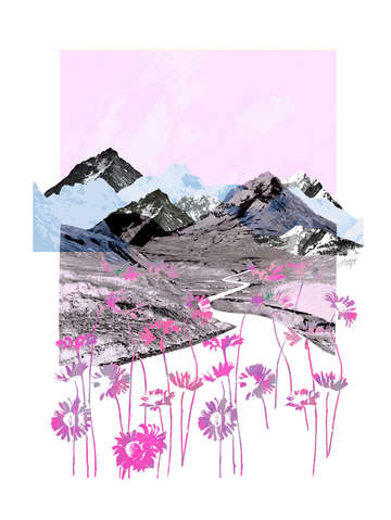 Daisy mountain collage pink palette