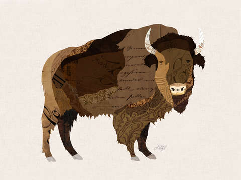 Buffalo collage