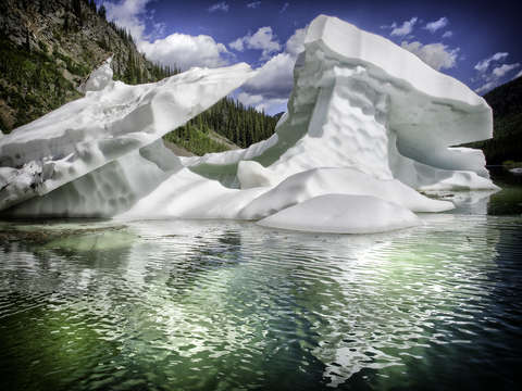 White boar icebergs