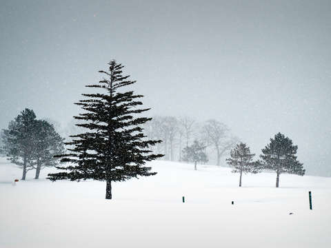 Valentines day snow