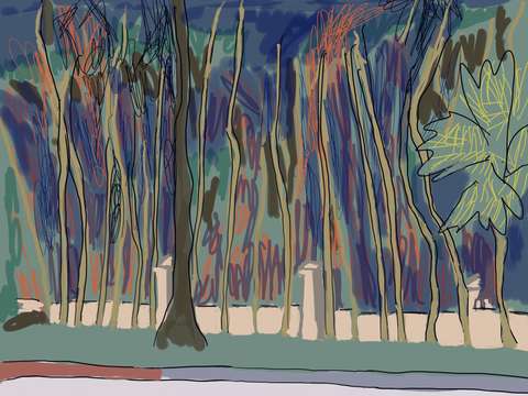 Naked branches