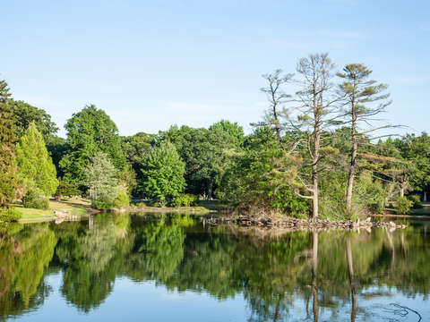 Island in jamaica pond