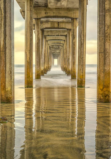 A reflection of scripps