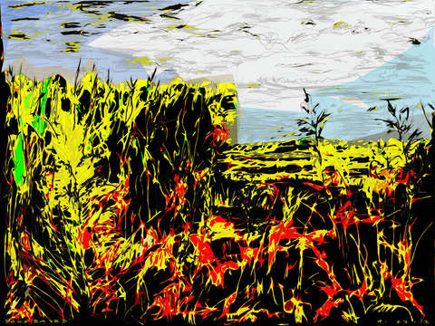 Cornfield landscape e