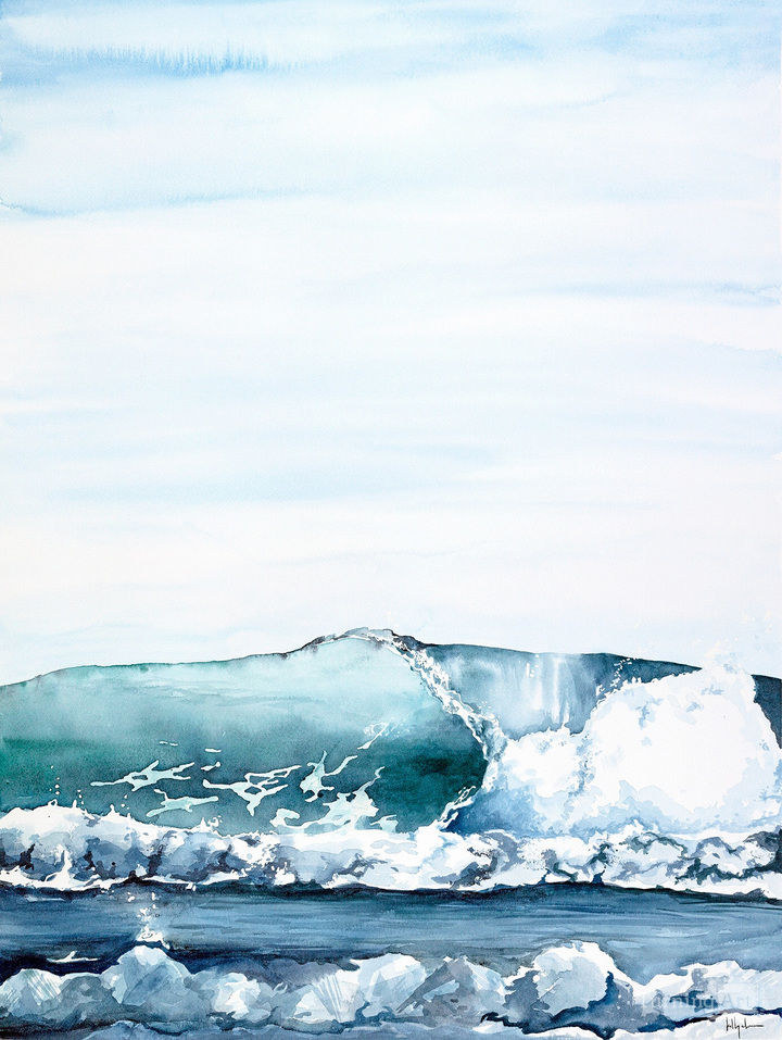 The cove 4