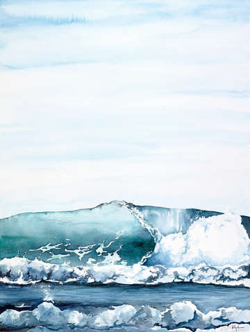 The cove 4