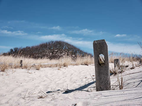 Dunes of island beach
