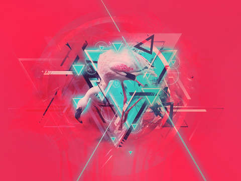 Neon solstice