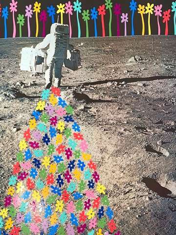 Flowers on the moon