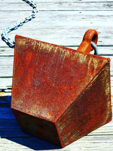 The iron