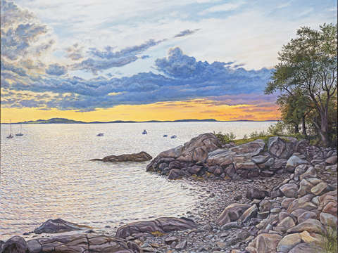 View from the ames estate
