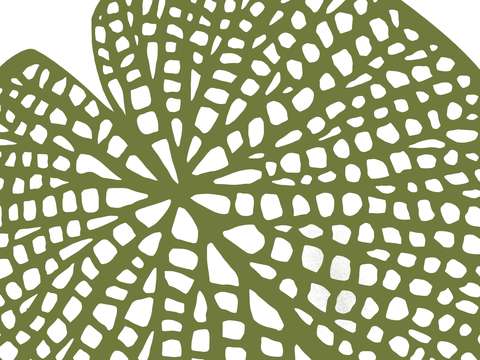 Lilypad