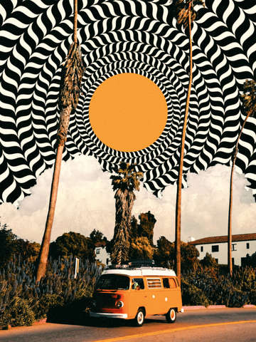 Van life