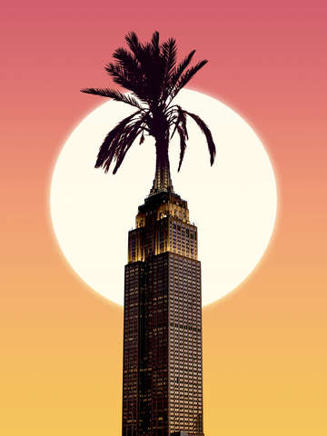 Urban palm