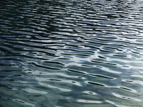 Water 2824
