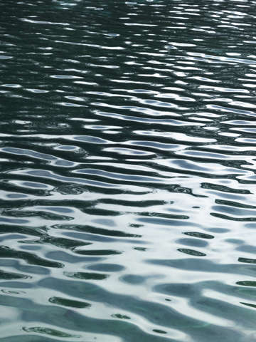 Water 2825