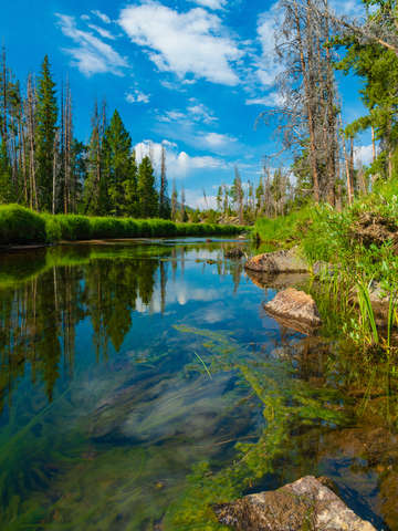 North inlet creek