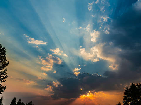 Rays at sunset