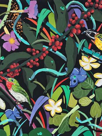 Fauna y flora