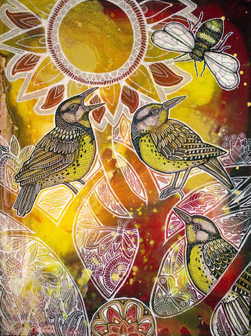 Meadowlark summer