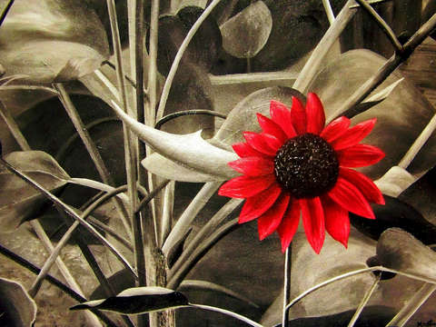 The red flower