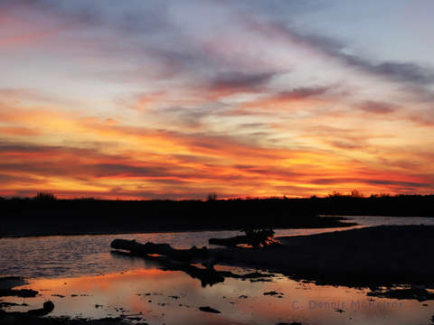 Fire in the sky 6