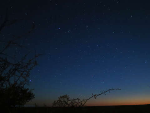 Star bright