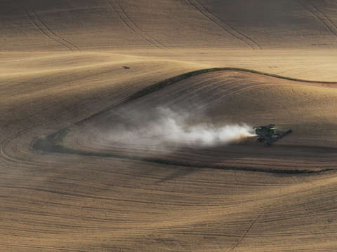 The harvest