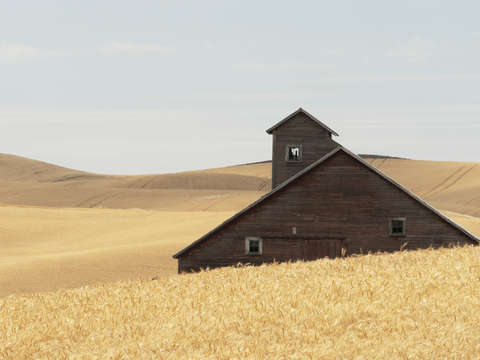 Harvest barn