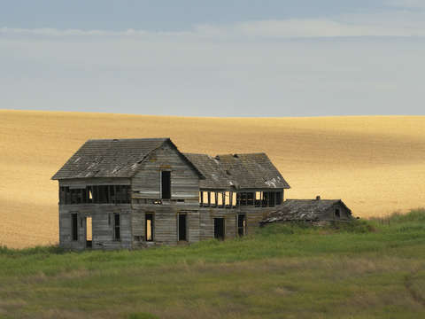 Harvest windows
