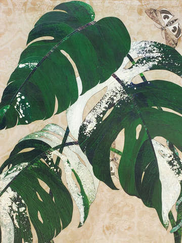 Variegated monstera delicioca